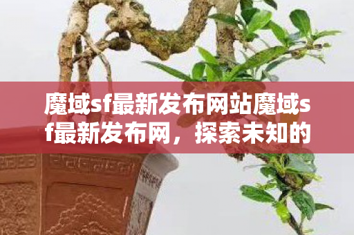 魔域sf最新发布网站魔域sf最新发布网图片