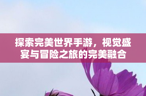视觉盛宴与冒险之旅的完美融合图片