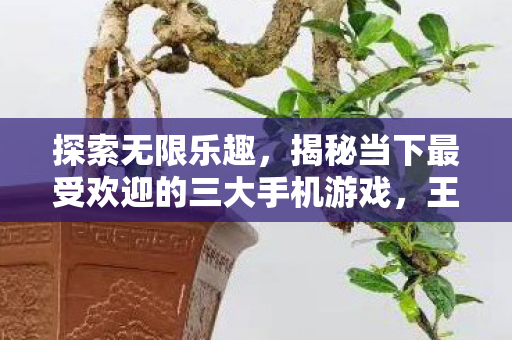 揭秘当下最受欢迎的三大手机游戏图片