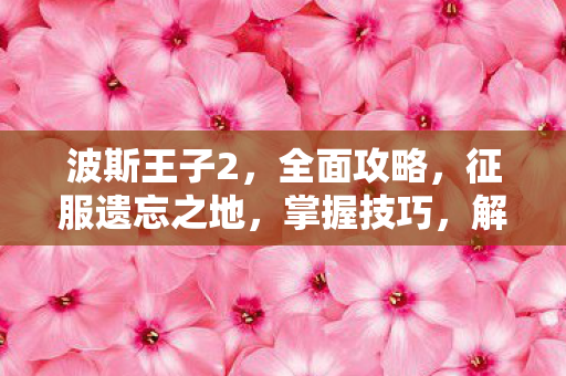 征服遗忘之地图片