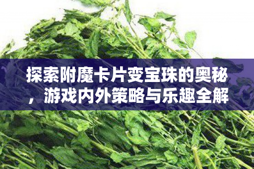 探索附魔卡片变宝珠的奥秘,游戏内外策略与乐趣全解析 探索附魔卡片变宝珠的奥秘,游戏内外策略与乐趣全解析