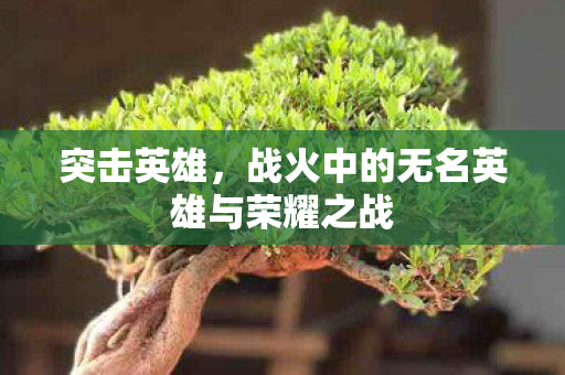 突击英雄，战火中的无名英雄与荣耀之战