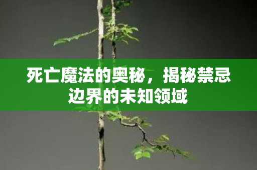 死亡魔法的奥秘,揭秘禁忌边界的未知领域 死亡魔法的奥秘,揭秘禁忌边界的未知领域