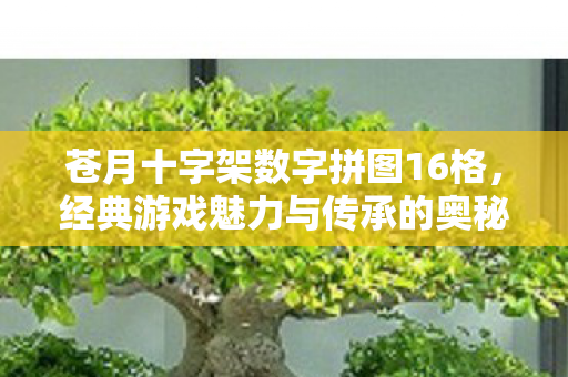 苍月十字架数字拼图16格,经典游戏魅力与传承的奥秘 苍月十字架数字拼图16格,经典游戏魅力与传承的奥秘