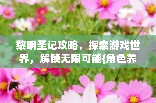 黎明圣记攻略图片