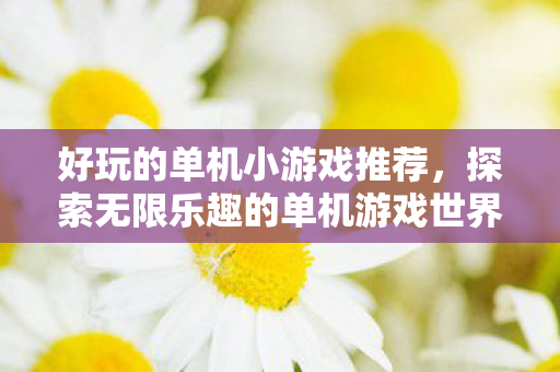 好玩的单机小游戏推荐,探索无限乐趣的单机游戏世界,探索无限乐趣,好玩的单机小游戏推荐 好玩的单机小游戏推荐,探索无限乐趣的单机游戏世界,探索无限乐趣,好玩的单机小游戏推荐