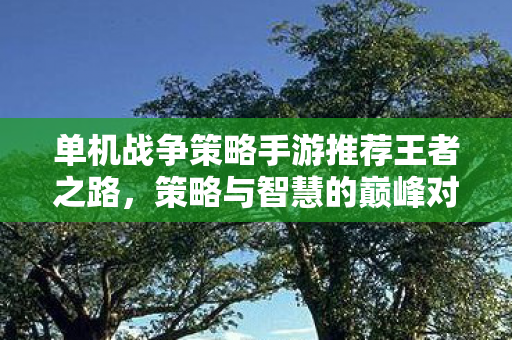 单机战争策略手游推荐王者之路,策略与智慧的巅峰对决 单机战争策略手游推荐王者之路,策略与智慧的巅峰对决