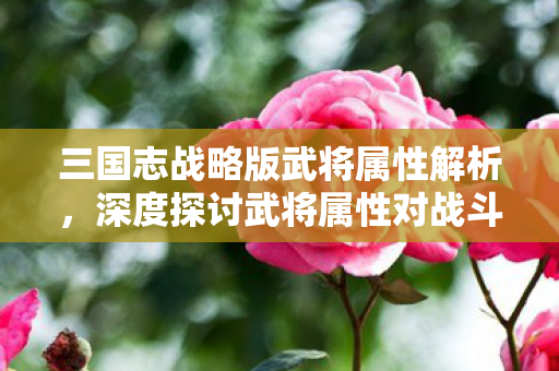 三国志战略版武将属性解析，深度探讨武将属性对战斗的影响，三国志战略版，武将属性对战斗影响深度解析
