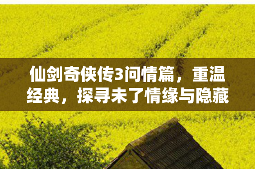 探寻未了情缘与隐藏剧情图片