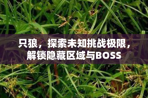 只狼,探索未知挑战极限,解锁隐藏区域与BOSS 只狼,探索未知挑战极限,解锁隐藏区域与BOSS