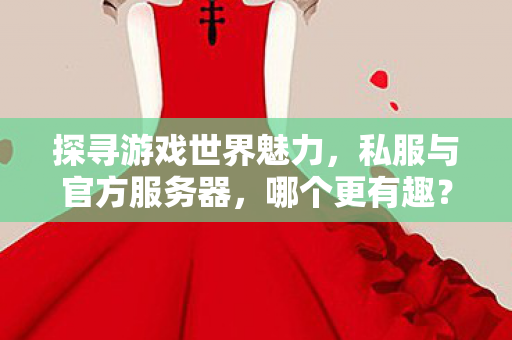 探寻游戏世界魅力，私服与官方服务器，哪个更有趣？