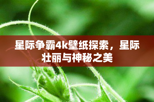星际争霸4k壁纸探索,星际壮丽与神秘之美 星际争霸4k壁纸探索,星际壮丽与神秘之美