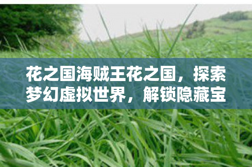 花之国海贼王花之国，探索梦幻虚拟世界，解锁隐藏宝藏！