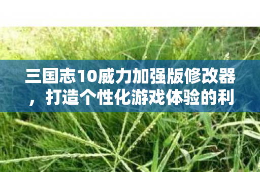 三国志10威力加强版修改器图片