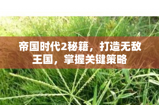 帝国时代2秘籍，打造无敌王国，掌握关键策略