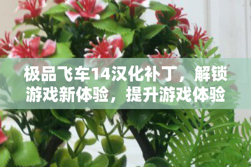 极品飞车14汉化补丁，解锁游戏新体验，提升游戏体验必备工具