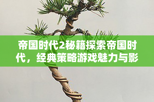 经典策略游戏魅力与影响全解析图片