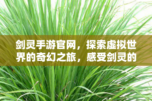 探索虚拟世界的奇幻之旅图片