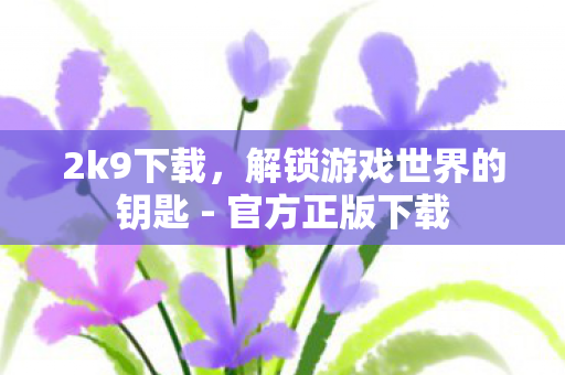 2k9下载，解锁游戏世界的钥匙 - 官方正版下载