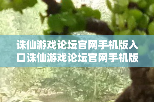 诛仙游戏论坛官网手机版入口诛仙游戏论坛官网手机版，畅游仙侠世界的便捷门户，诛仙游戏论坛官网手机版，畅游仙侠世界的便捷门户