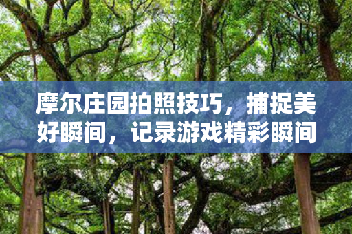 摩尔庄园拍照技巧，捕捉美好瞬间，记录游戏精彩瞬间