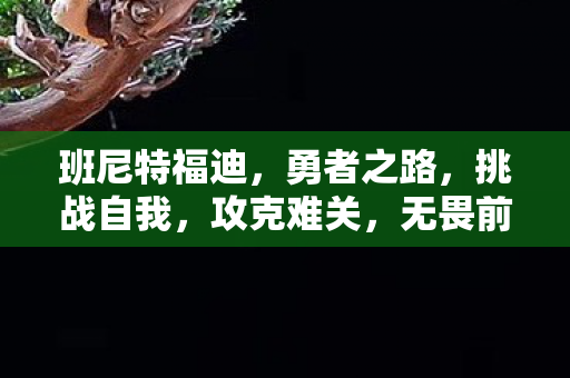 班尼特福迪,勇者之路,挑战自我,攻克难关,无畏前行 班尼特福迪,勇者之路,挑战自我,攻克难关,无畏前行