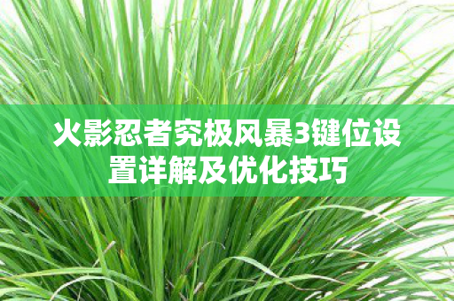 火影忍者究极风暴3键位设置详解及优化技巧图片