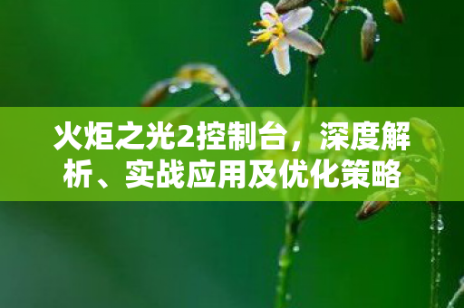 实战应用及优化策略图片