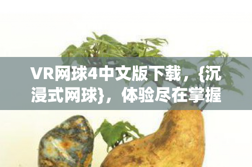 VR网球4中文版下载,{沉浸式网球},体验尽在掌握 VR网球4中文版下载,{沉浸式网球},体验尽在掌握