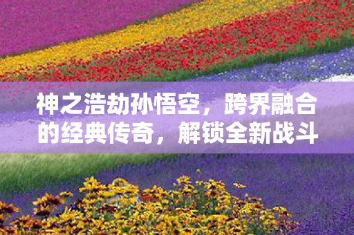 神之浩劫孙悟空，跨界融合的经典传奇，解锁全新战斗模式！