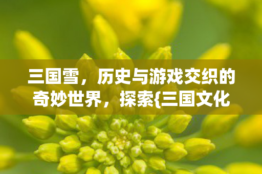 三国雪,历史与游戏交织的奇妙世界,探索{三国文化}的奥秘! 三国雪,历史与游戏交织的奇妙世界,探索{三国文化}的奥秘!