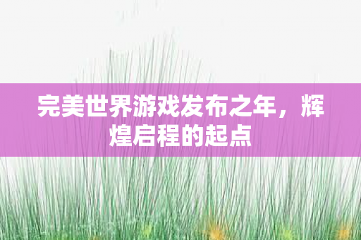 完美世界游戏发布之年图片