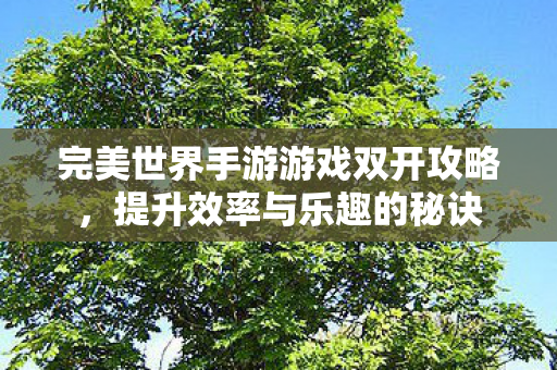 完美世界手游游戏双开攻略图片