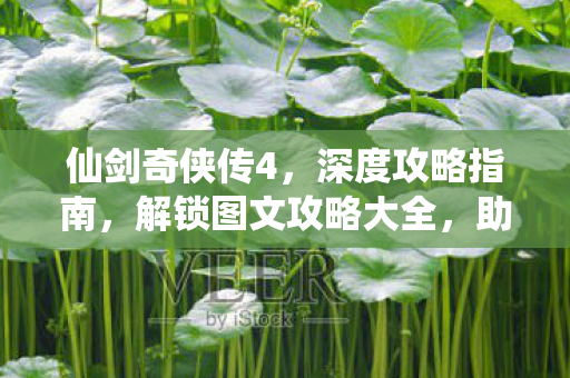解锁图文攻略大全图片