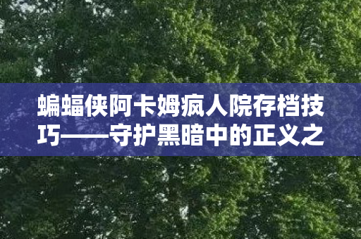 蝙蝠侠阿卡姆疯人院存档技巧图片
