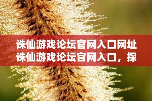 诛仙游戏论坛官网入口网址诛仙游戏论坛官网入口,探索官方社区的无限魅力,探索官方社区的无限魅力,诛仙游戏论坛官网入口 诛仙游戏论坛官网入口网址诛仙游戏论坛官网入口,探索官方社区的无限魅力,探索官方社区的无限魅力,诛仙游戏论坛官网入口