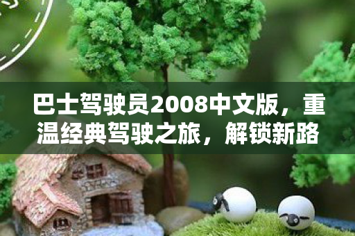巴士驾驶员2008中文版，重温经典驾驶之旅，解锁新路线与挑战