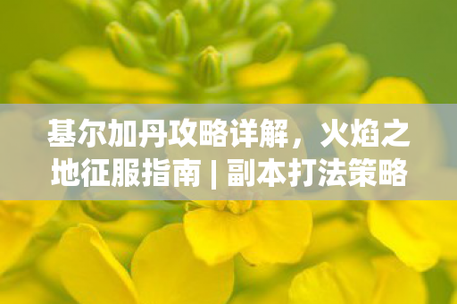 基尔加丹攻略详解，火焰之地征服指南 | 副本打法策略