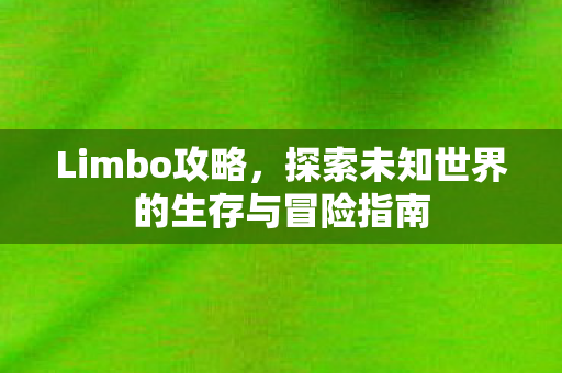 Limbo攻略，探索未知世界的生存与冒险指南