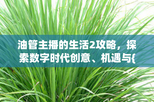 油管主播的生活2攻略,探索数字时代创意、机遇与{直播技巧} 油管主播的生活2攻略,探索数字时代创意、机遇与{直播技巧}