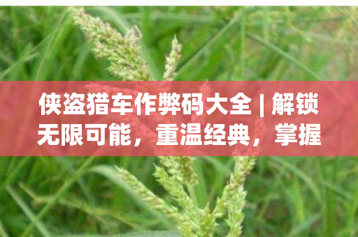 侠盗猎车作弊码大全 | 解锁无限可能，重温经典，掌握作弊技巧