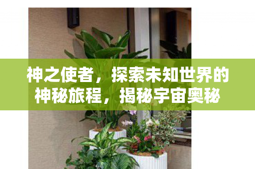 神之使者,探索未知世界的神秘旅程,揭秘宇宙奥秘 神之使者,探索未知世界的神秘旅程,揭秘宇宙奥秘