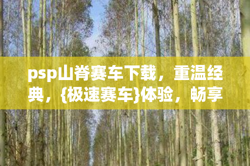 psp山脊赛车下载，重温经典，{极速赛车}体验，畅享无限快感