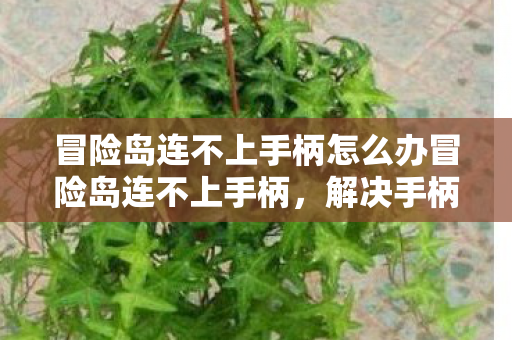 冒险岛连不上手柄怎么办冒险岛连不上手柄，解决手柄连接问题的全面指南，解决冒险岛手柄连接问题的全面指南
