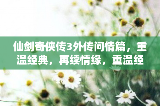 仙剑奇侠传3外传问情篇图片
