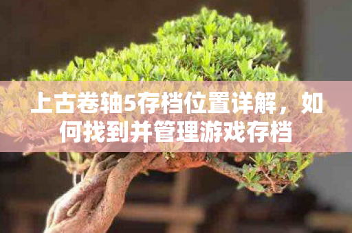 上古卷轴5存档位置详解,如何找到并管理游戏存档 上古卷轴5存档位置详解,如何找到并管理游戏存档
