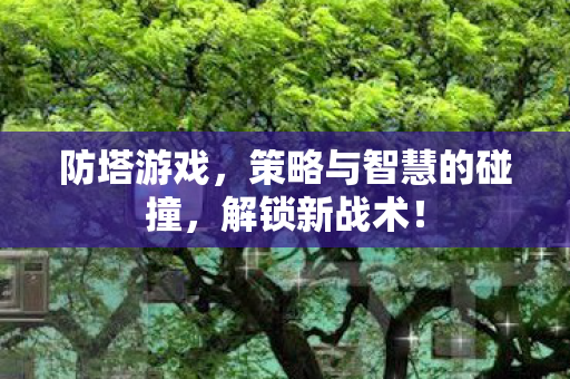 防塔游戏，策略与智慧的碰撞，解锁新战术！