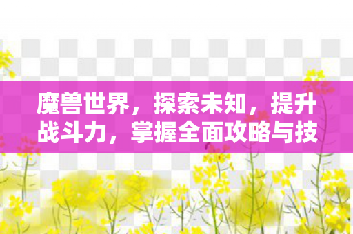 魔兽世界，探索未知，提升战斗力，掌握全面攻略与技巧