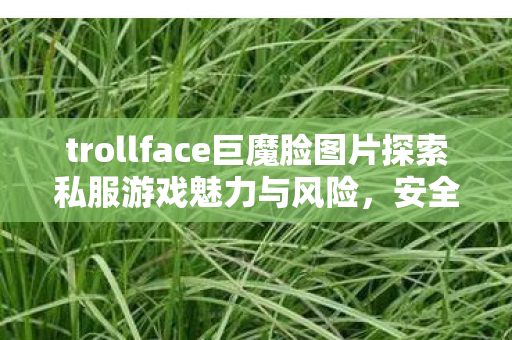 trollface巨魔脸图片探索私服游戏魅力与风险，安全警惕！