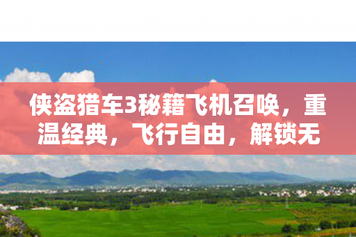 侠盗猎车3秘籍飞机召唤，重温经典，飞行自由，解锁无限可能！